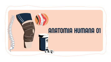 anatomiahumana01.milaulas.com