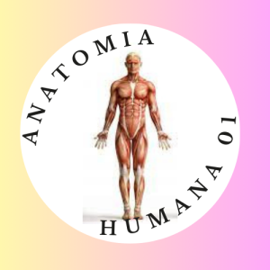 Anatomía Humana 01